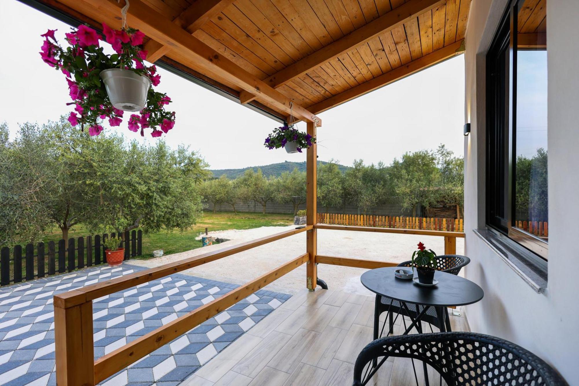Olive Oasis Studio Берат Екстер'єр фото